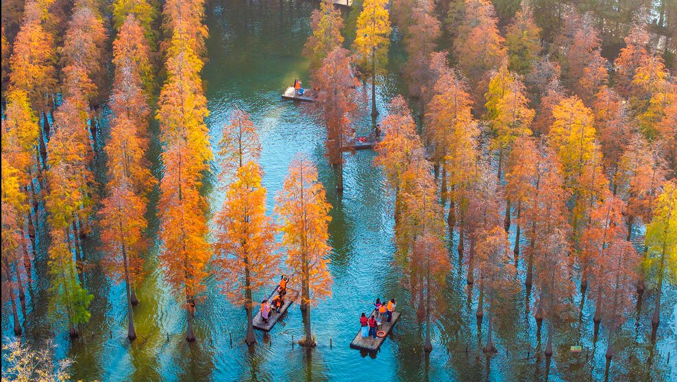 دیدنی های امروز؛ از تلفات زلزله شمال افغانستان تا یوز آسیایی باغ وحش انگلیس تالاب دریاچه "هونگزه" در چین