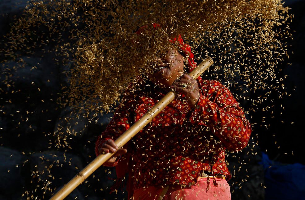 کشاورز نپالی در حومه شهر باختاپور 