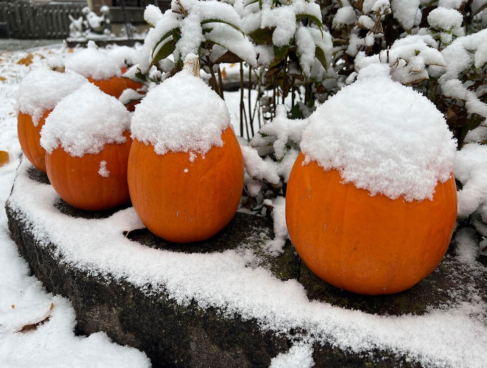 دیدنی های امروز؛ از صف غذا در آمریکا تا سی و ششمین سالگرد سقوط دیوار برلین بارش نخستین برف پاییزی در تورنتو کانادا