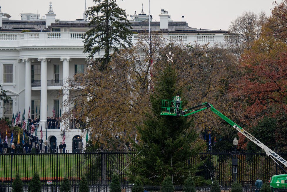 نصب و تزئین درخت کریسمس کاخ سفید