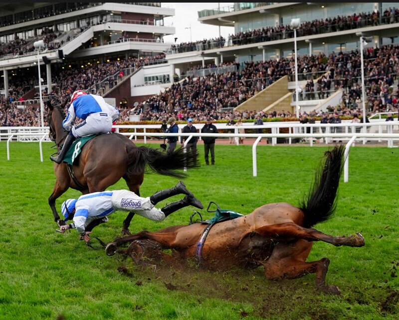 مسابقات اسب سواری در انگلیس