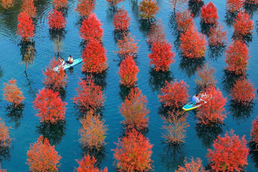 گردشگران در چین روی قایق های تفریحی