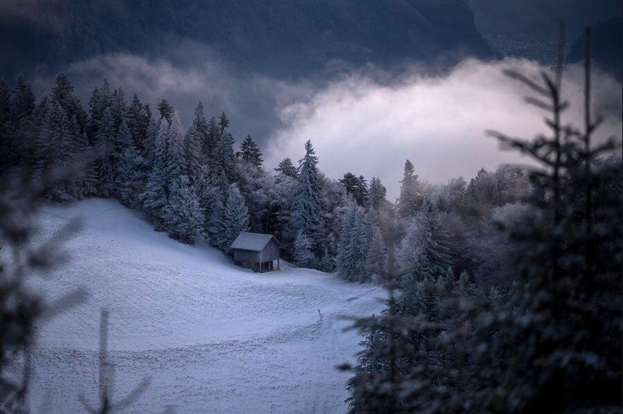دیدنی های امروز؛ از دیدار بن سلمان با ترامپ تا اسکلت 3 میلیون دلاری یک بچه دایناسور بارش نخستین برف پاییزی در دهکده ای در سوئیس