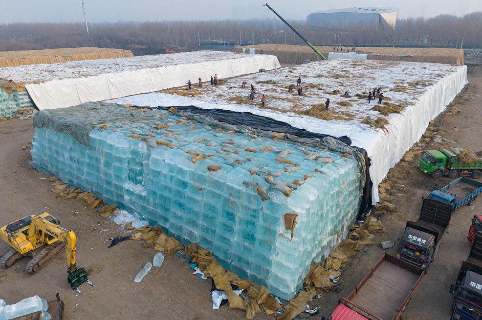 دیدنی های امروز؛ از جنجال "برقع" در سنای استرالیا تا پذیرایی ویژه از سگ پلیس در آمریکا سازه های برفی و یخی در هاربین چین