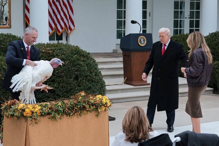 دیدنی های امروز؛ از بوقلمون های روز شکرگزاری در کاخ سفید تا دردسر باران برای مردم غزه مراسم انتخاب بوقلمون جشن روز شکرگزاری