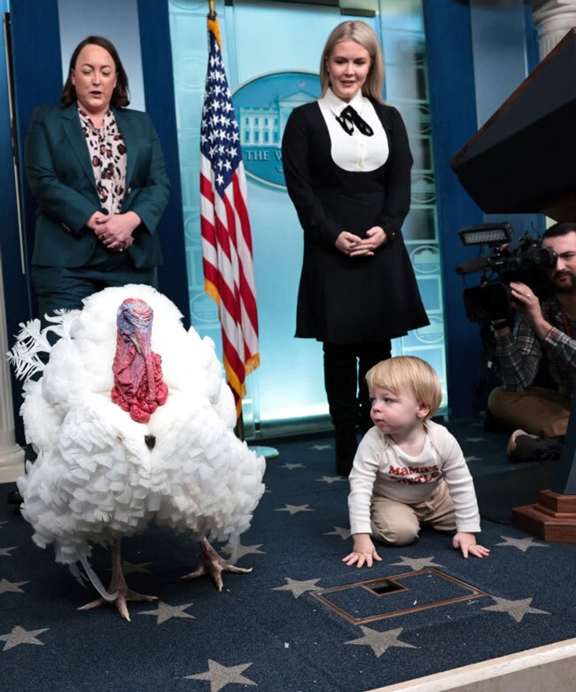 دیدنی های امروز؛ از بوقلمون های روز شکرگزاری در کاخ سفید تا دردسر باران برای مردم غزه مراسم انتخاب بوقلمون جشن روز شکرگزاری