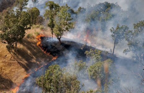 آتش‌سوزی مهیب در جنگل‌های جاده چالوس