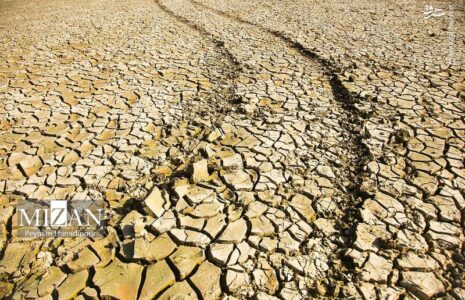 خشک شدن بند عبدل آباد و مرگ هزاران ماهی بند عبدل آباد