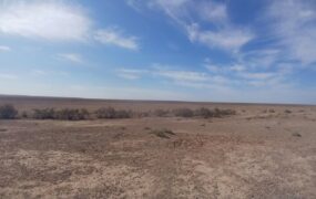 خشک شدن تالاب بندعلیخان؛ زنگ خطر برای جنوب تهران و زیست‌بوم منطقه