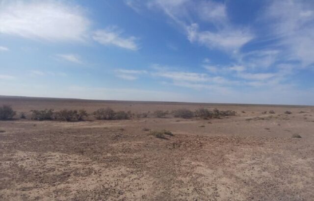 خشک شدن تالاب بندعلیخان؛ زنگ خطر برای جنوب تهران و زیست‌بوم منطقه