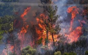 مهار آتش سوزی جنگل های چالوس