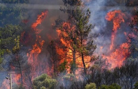 مهار آتش سوزی جنگل های چالوس