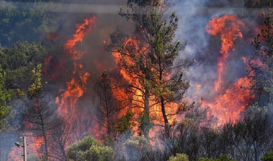 مهار آتش سوزی جنگل های چالوس