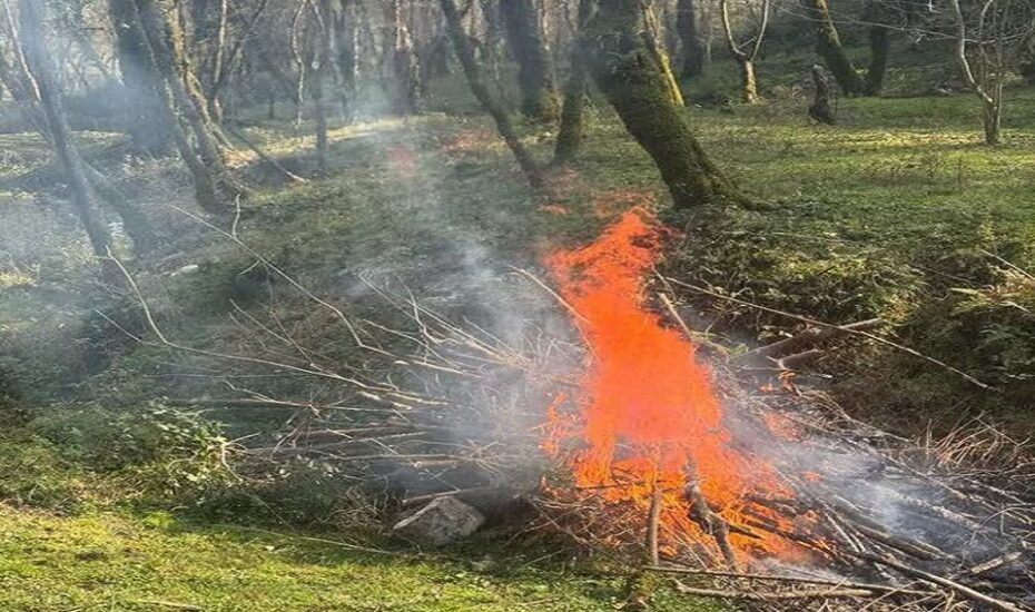 دستگیری آتش‌افروز جنگل‌های هیرکانی در مازندران