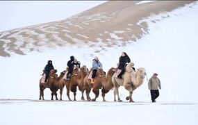 دیدنی های امروز؛ از جنجال "برقع" در سنای استرالیا تا پذیرایی ویژه از سگ پلیس در آمریکا دیدنی های امروز