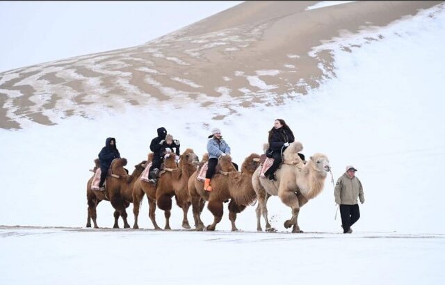 دیدنی های امروز