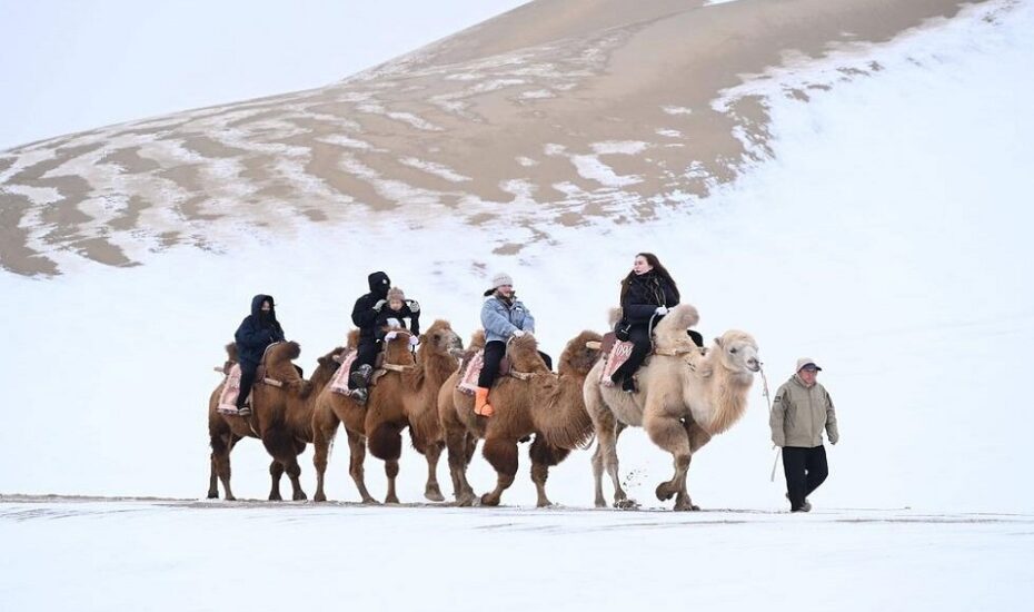 دیدنی های امروز