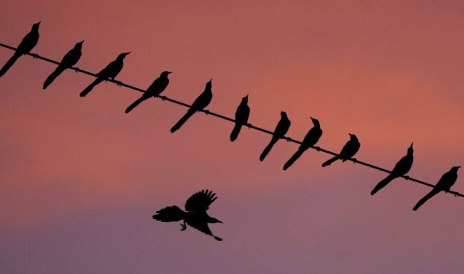 دیدنی های امروز