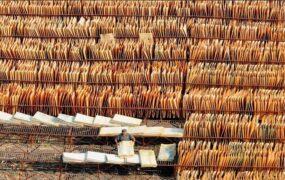 دیدنی های امروز