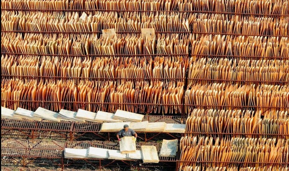 دیدنی های امروز