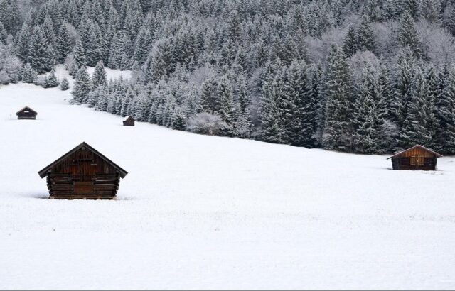 دیدنی های امروز؛ از مرکز نظارت بر آتش بس غزه تا انتقال زرافه در کنیا دیدنی های امروز؛ از مرکز نظارت بر آتش بس غزه تا انتقال زرافه در کنیا