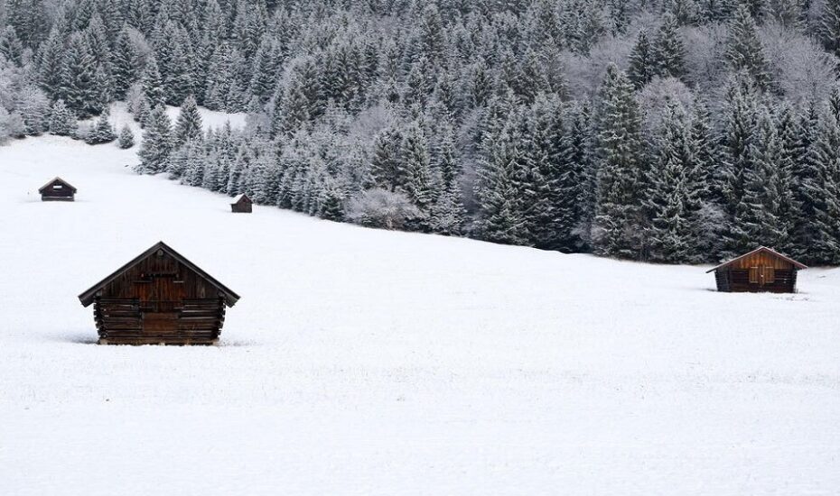دیدنی های امروز؛ از مرکز نظارت بر آتش بس غزه تا انتقال زرافه در کنیا