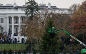 دیدنی های امروز؛ از نصب درخت کریسمس کاخ سفید تا جنگ زدگان سودان دیدنی های امروز