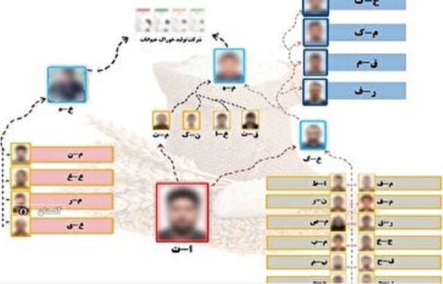 شبکه قاچاق ۸۰۰ تنی آرد در گلستان منهدم شد/ فیلم شبکه قاچاق ۸۰۰ تنی آرد در گلستان منهدم شد