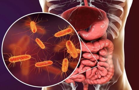 عوامل کلیدی در حفظ سلامت روده و تقویت باکتری‌های مفید