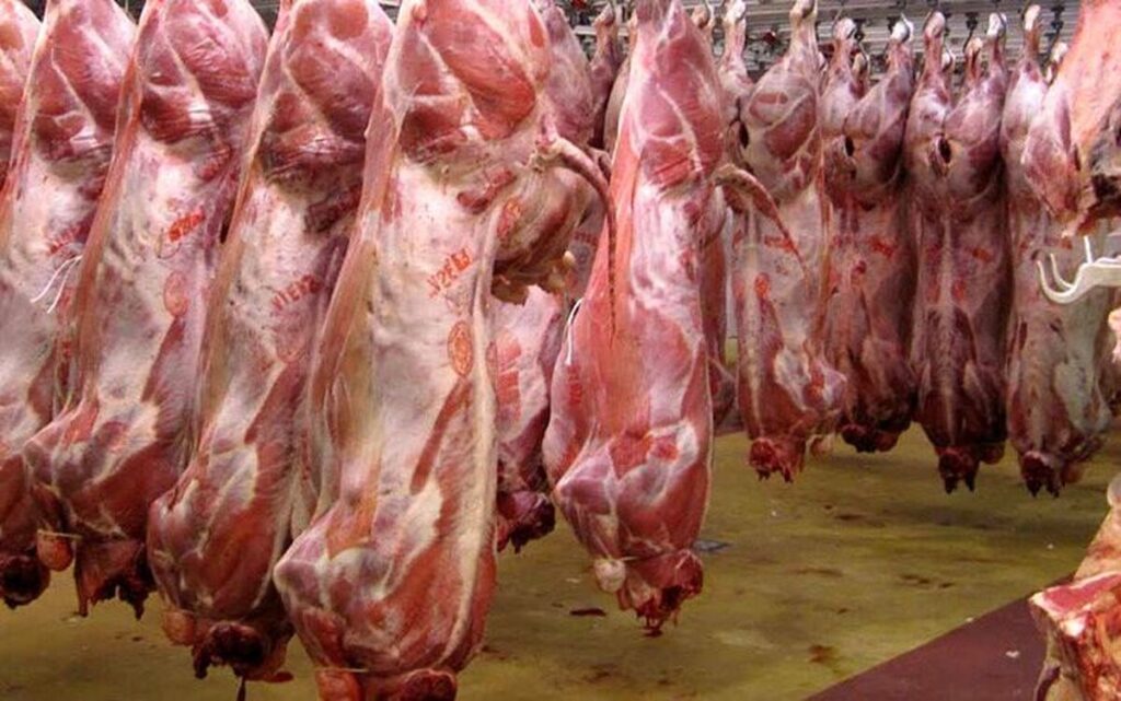 قیمت گوشت