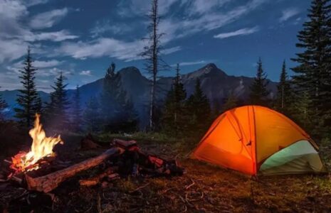 اقامت شبانه جنگل‌های آمل آتش‌سوزی