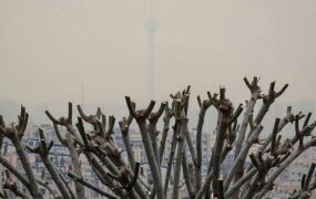 افزایش آلودگی هوا