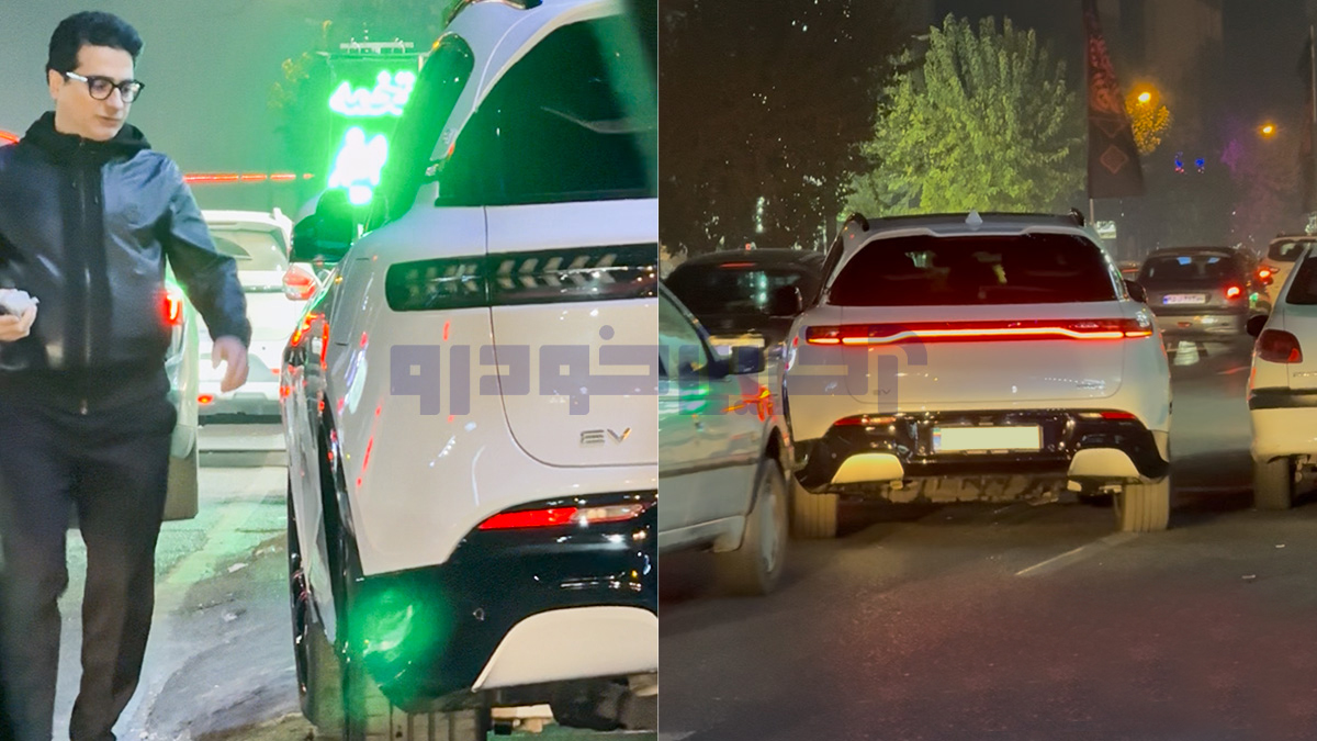 همایون شجریان زیر تیغ انتقادات مجازی