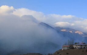 پاسخ بحث‌برانگیز رئیس منابع طبیعی درباره خسارت آتش‌سوزی جنگل الیت