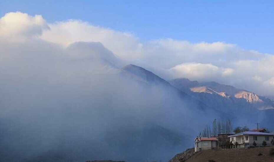 پاسخ بحث‌برانگیز رئیس منابع طبیعی درباره خسارت آتش‌سوزی جنگل الیت