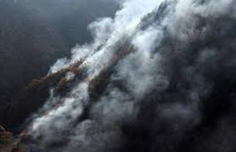 مهار آتش‌سوزی جنگل‌های مازندران