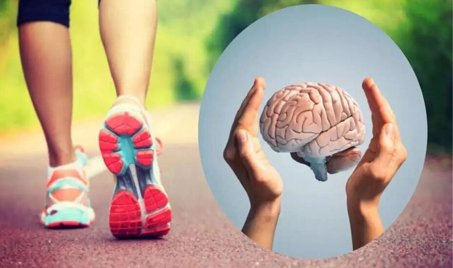 پیاده‌روی؛ ساده‌ترین راه برای تقویت مغز و پیشگیری از آلزایمر