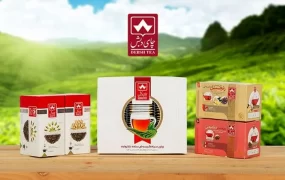 ویلای ۸ هزار متری متهم چای دبش ضبط شد چای دبش