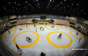 کشتی گیر تیم ملی