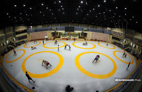 کشتی گیر تیم ملی