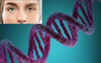 DNA روند پیری سلولی