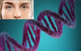 DNA روند پیری سلولی