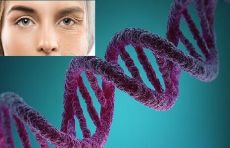 DNA روند پیری سلولی