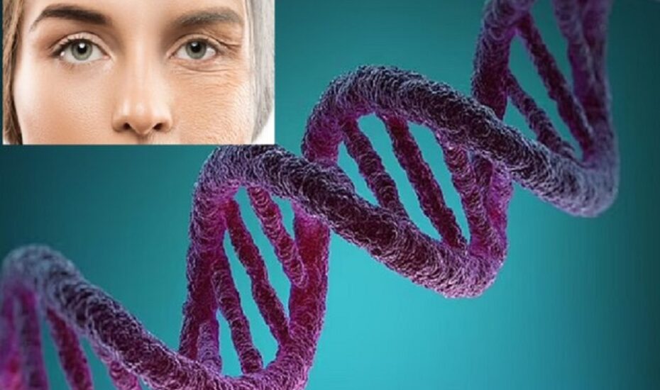 DNA روند پیری سلولی