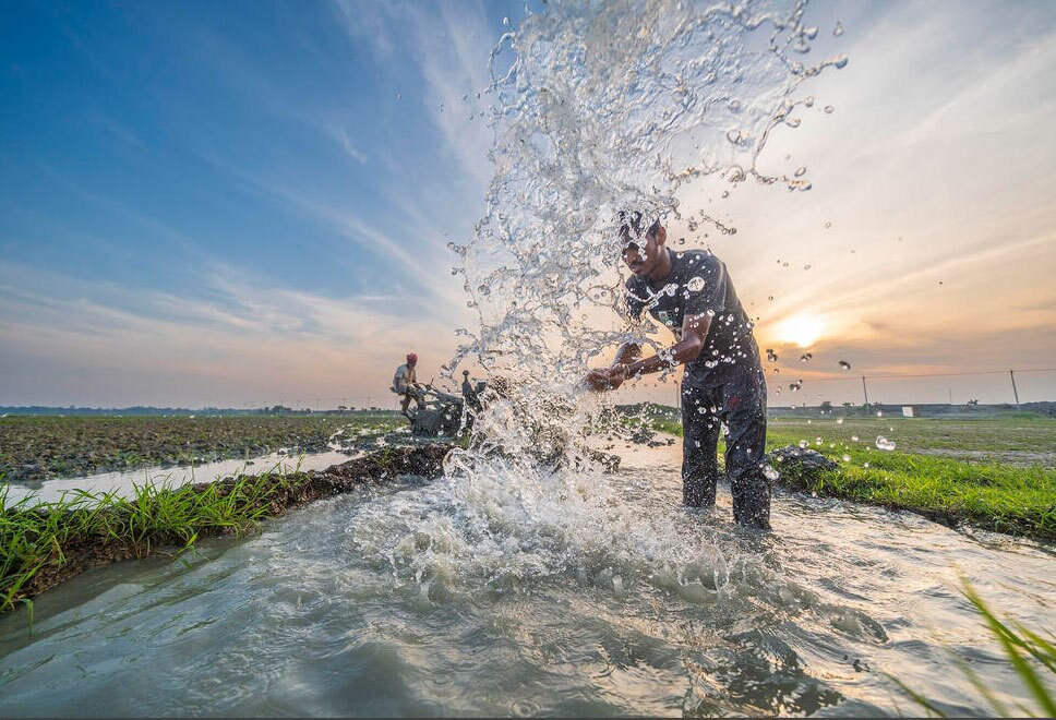 دیدنی های امروز؛ از سفر پاپ به بیروت تا تولید برق به سبک غزه آبیاری شالیزارهای برنج در حومه شهر داکا