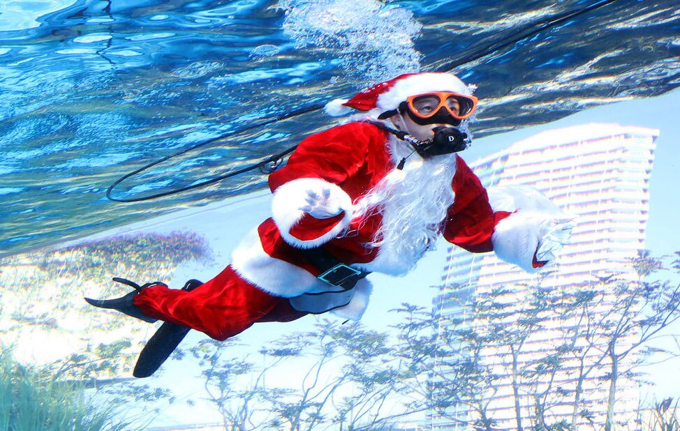 حال و هوای کریسمس در آکواریوم توکیو