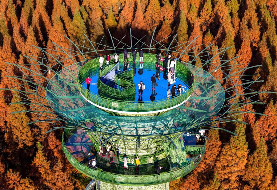 دیدنی های امروز؛ از آخرین اَبَرماه سال 2025 تا اخراج مهاجران از آمریکا بازدید گردشگران از پارک جنگلی "دریای زرد"