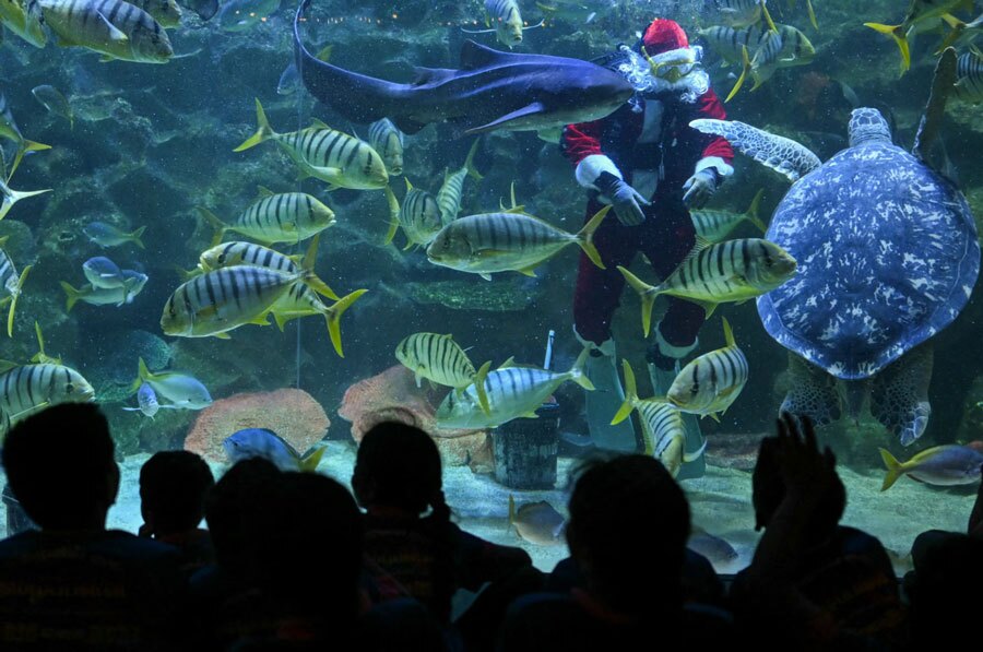 دیدنی های امروز؛ از انتشار عکس های جدید " جفری اپستین" تا ابراز تسلیت رهبر کره شمالی آکواریوم شهر کوالالامپور مالزی