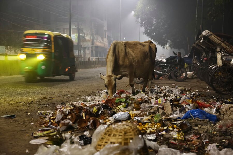 دیدنی های امروز؛ از آشوب حضور مسی در هند تا سلفی نخست وزیر ایتالیا زباله خواری یک گاو در واراناسی هند
