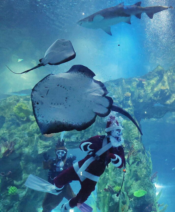 آکواریوم شهر سئول